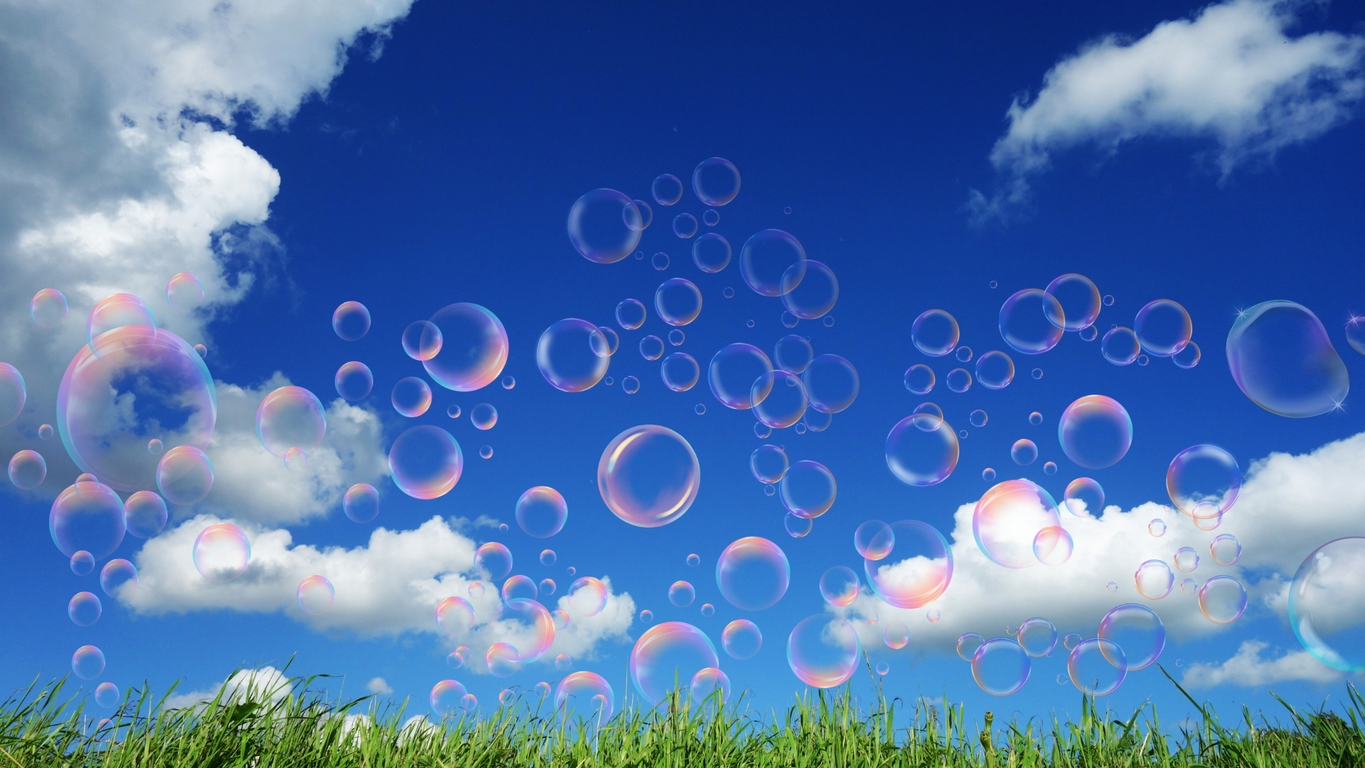 FamIly Bubble Fest